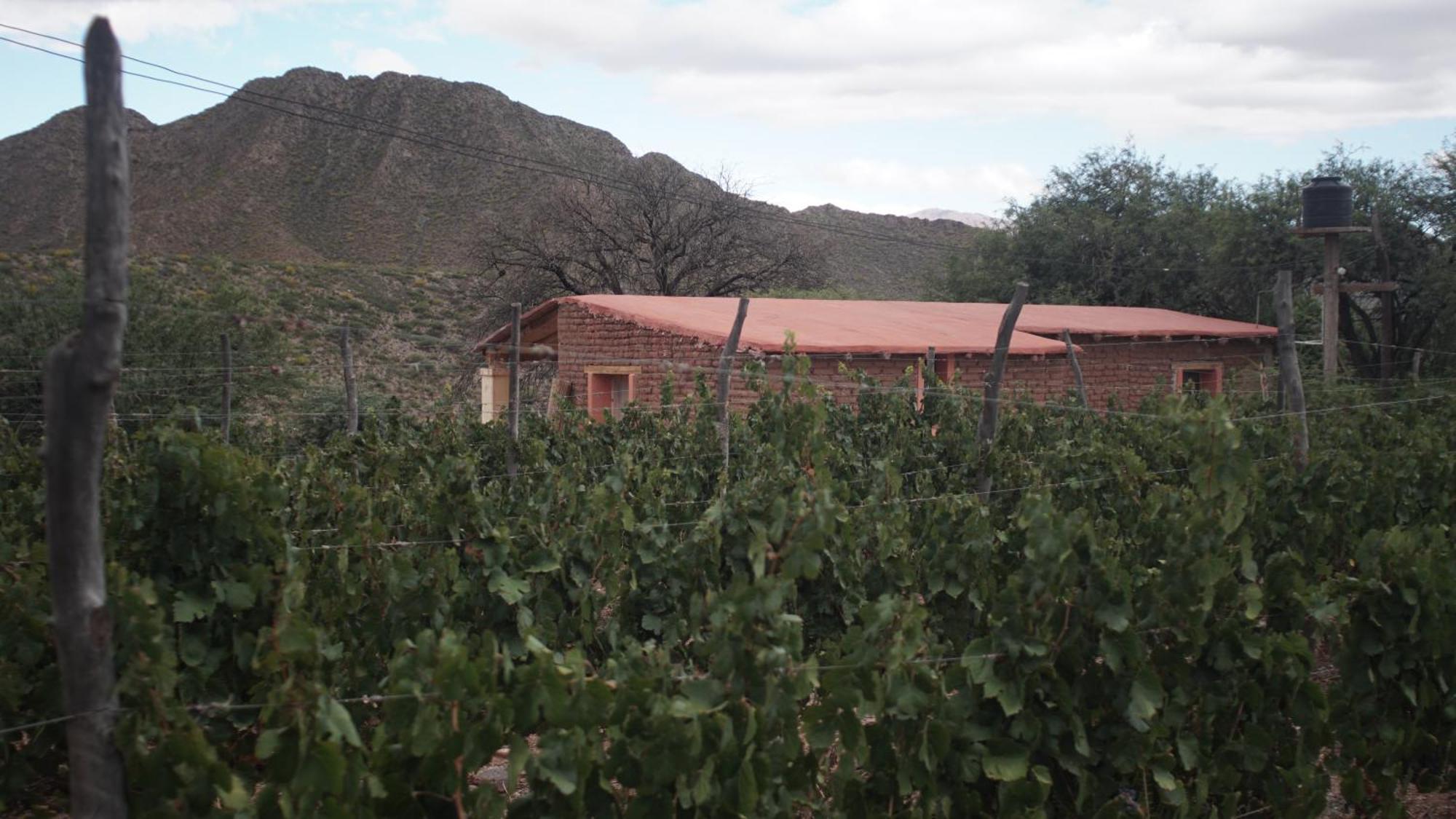 Hospedaje Finca La Encantada Seclantás Екстериор снимка